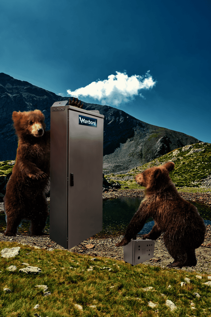 ours et ourson s'appuyant sur une armoire et un coffret Inox MARBORE